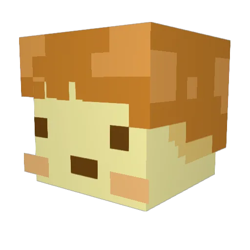 Gerba5 Minecraft avatar head, 3D render