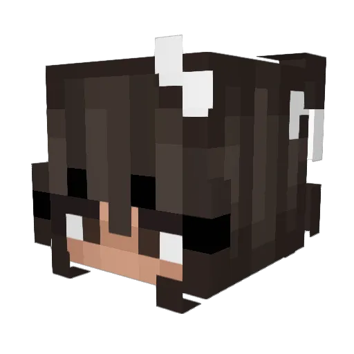 Gerdutexo Minecraft avatar head, 3D render