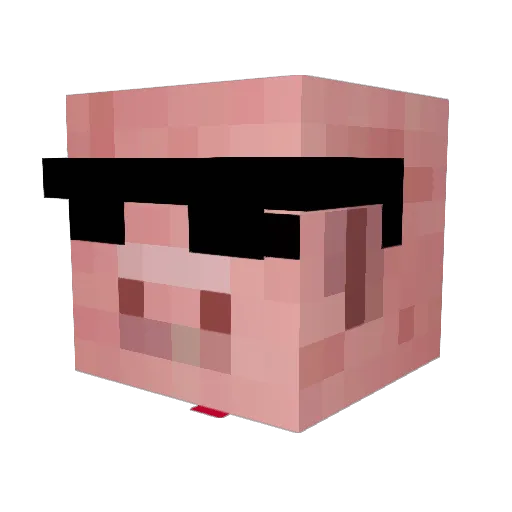 Gerharder Minecraft avatar head, 3D render