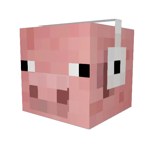 Germ4n_Cr4fter2 Minecraft avatar head, 3D render