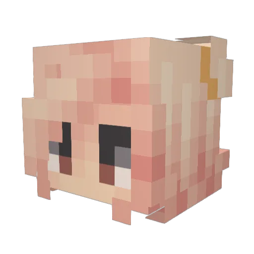 GermanRobbiLP Minecraft avatar head, 3D render