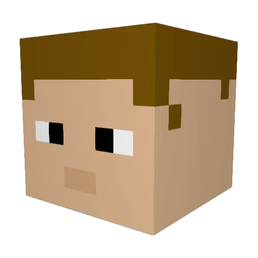 Germit65 Minecraft avatar head, 3D render