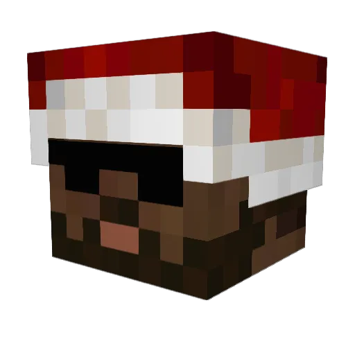 Geromias Minecraft avatar head, 3D render