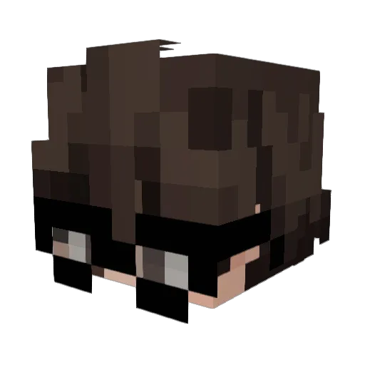 Geronimatz Minecraft avatar head, 3D render