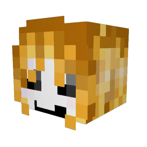 Gerp_Gerp_Don Minecraft avatar head, 3D render