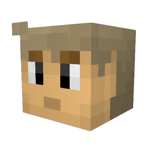 GerrieEickhof Minecraft avatar head, 3D render