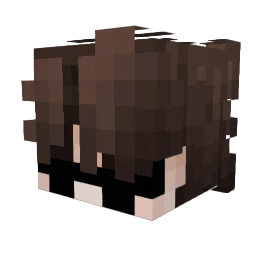 GerryRad Minecraft avatar head, 3D render