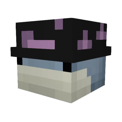 Geryum Minecraft avatar head, 3D render