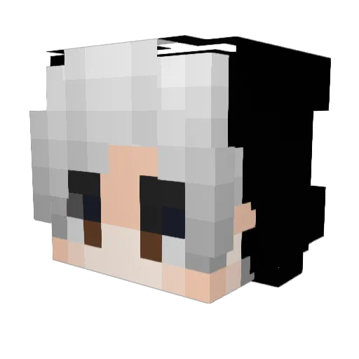 GesteinsTyp Minecraft avatar head, 3D render