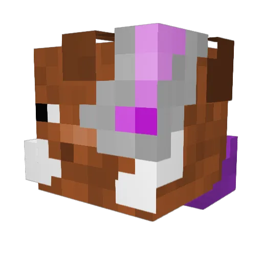 GetShwifty69 Minecraft avatar head, 3D render