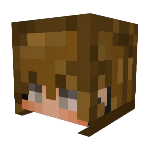 Get_Fit Minecraft avatar head, 3D render
