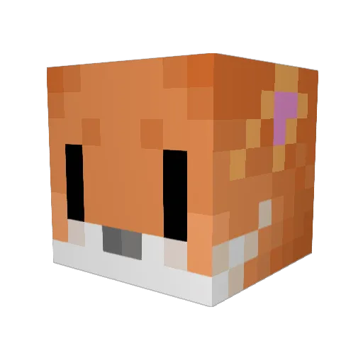 Get_nasty Minecraft avatar head, 3D render