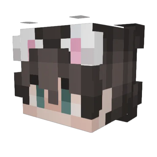 GetusRektus Minecraft avatar head, 3D render
