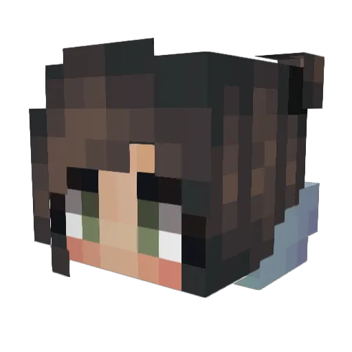 Gewittersturm Minecraft avatar head, 3D render