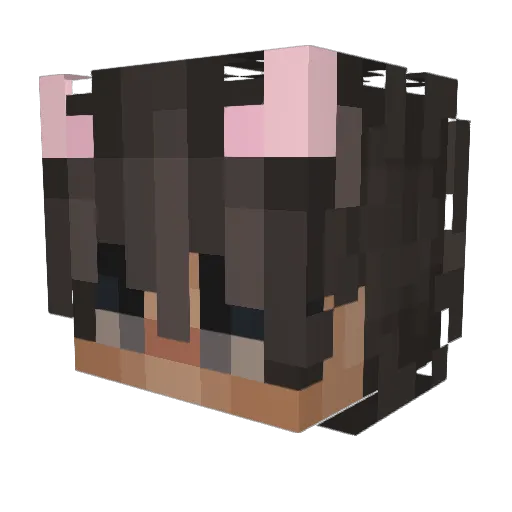 GewoonDevin1 Minecraft avatar head, 3D render