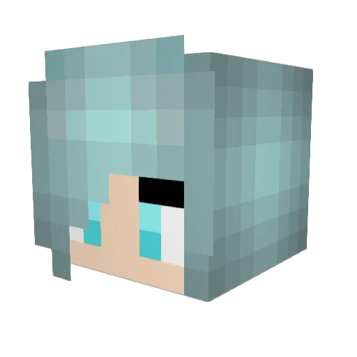 GewoonHermelien Minecraft avatar head, 3D render