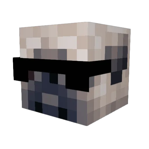 GewoonNaomi Minecraft avatar head, 3D render