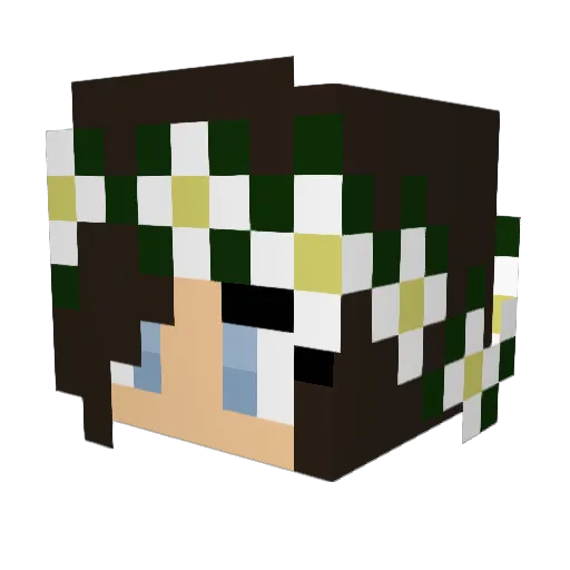Gewoon_Eva Minecraft avatar head, 3D render