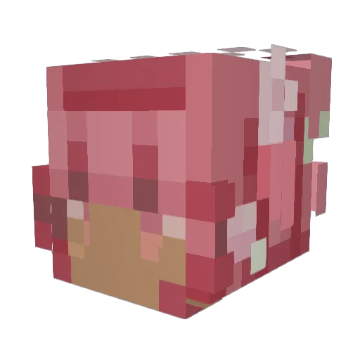 Gfox5Gang Minecraft avatar head, 3D render