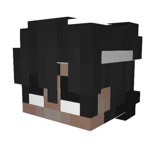 Gh0stRid3r20 Minecraft avatar head, 3D render