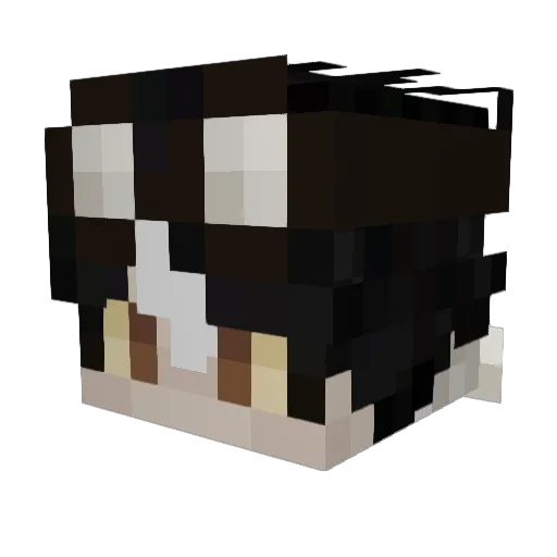 Gh0stlyFlowers Minecraft avatar head, 3D render