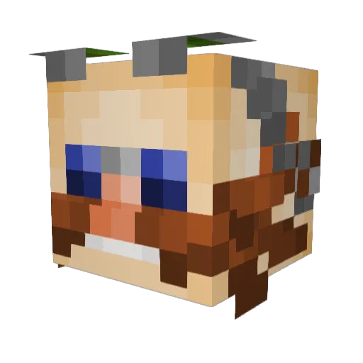 Ghacha Minecraft avatar head, 3D render