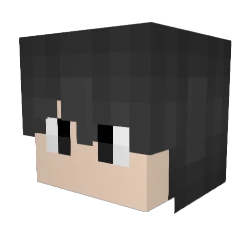 Ghost886304 Minecraft avatar head, 3D render