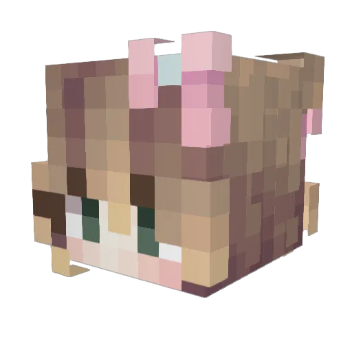 GhostCat1694 Minecraft avatar head, 3D render