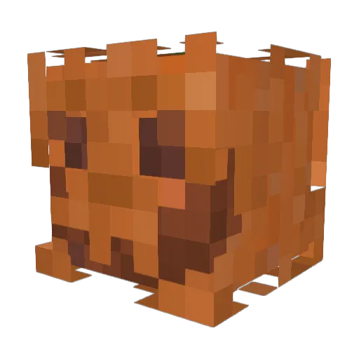 GhostKiller7724 Minecraft avatar head, 3D render