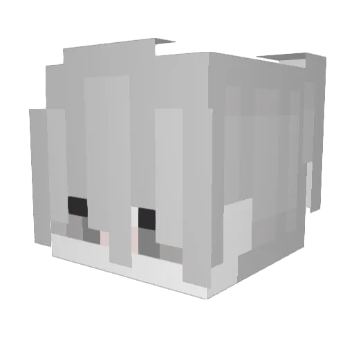 GhostKing1012 Minecraft avatar head, 3D render