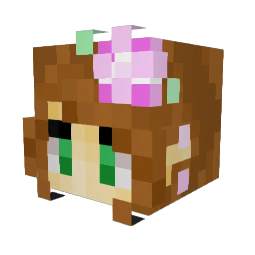 GhostNinja21 Minecraft avatar head, 3D render