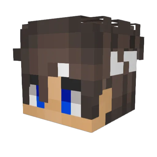 Ghost_10_11 Minecraft avatar head, 3D render