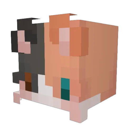 Ghost_4041 Minecraft avatar head, 3D render