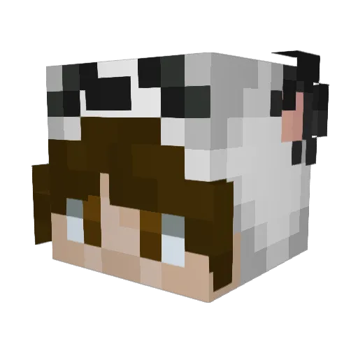 Ghost_Drxm Minecraft avatar head, 3D render