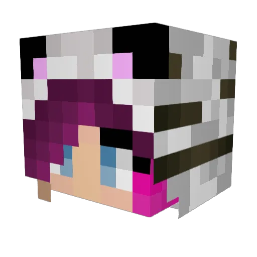 Ghost_Teegruk Minecraft avatar head, 3D render