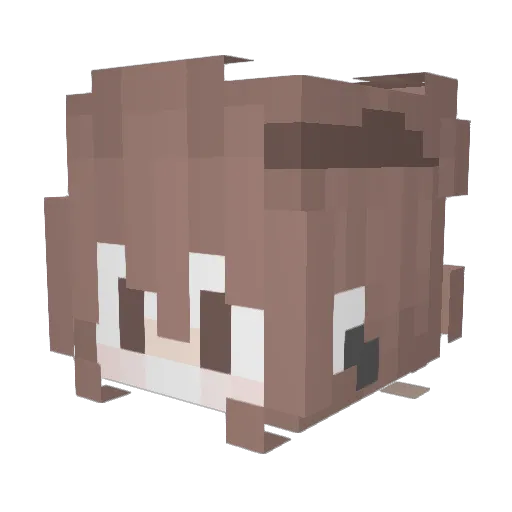 Ghost_oo Minecraft avatar head, 3D render