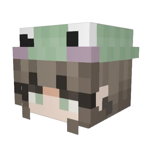 Ghostboii66 Minecraft avatar head, 3D render