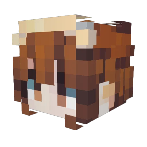 Ghostbunny214 Minecraft avatar head, 3D render