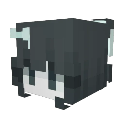 Ghostfish711 Minecraft avatar head, 3D render