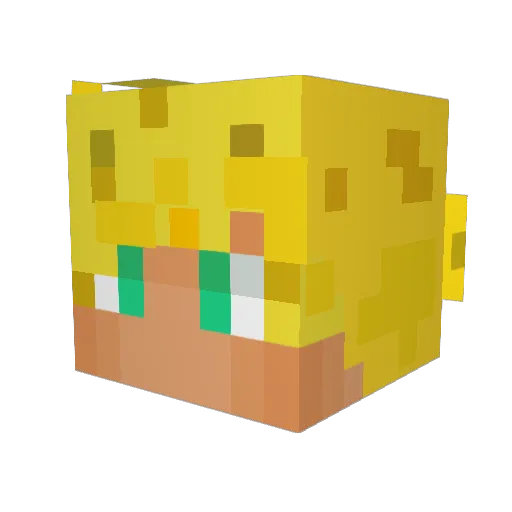 Ghosthunter669 Minecraft avatar head, 3D render