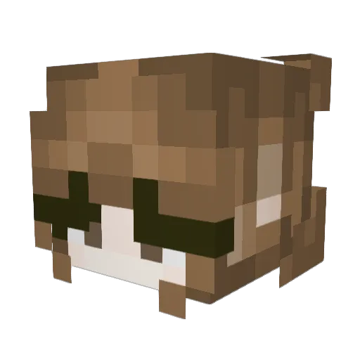 Ghostii07 Minecraft avatar head, 3D render