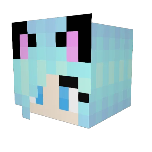 Ghostjelly Minecraft avatar head, 3D render