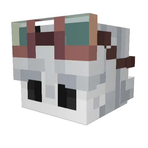 Ghostlyguy365 Minecraft avatar head, 3D render