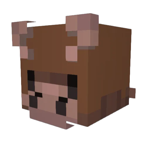 Ghoul_A145 Minecraft avatar head, 3D render