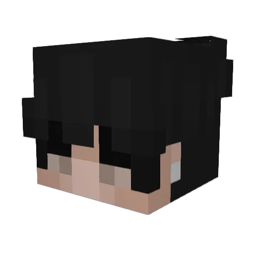 Ght_SrgqtP Minecraft avatar head, 3D render