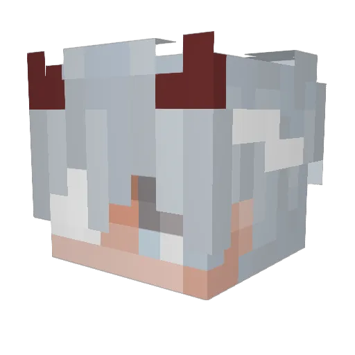 GhxstSnow Minecraft avatar head, 3D render