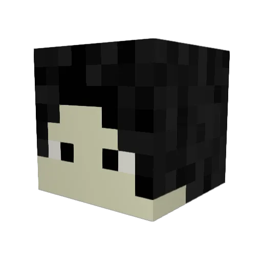 GiHunWasWrong Minecraft avatar head, 3D render