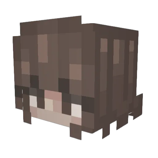 GiX1z Minecraft avatar head, 3D render