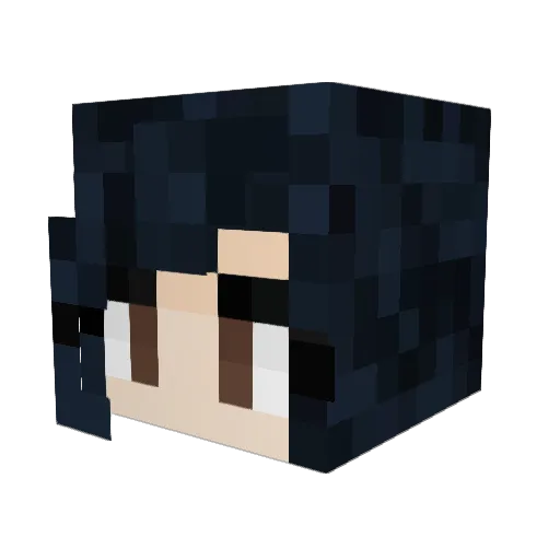 Giak19 Minecraft avatar head, 3D render