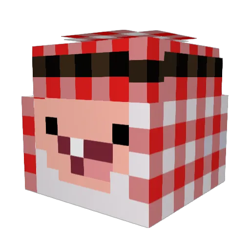 Gian_11 Minecraft avatar head, 3D render